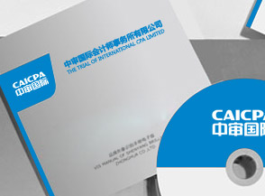中審國際會(huì)計(jì)師事務(wù)所企業(yè)VI系統(tǒng)制作