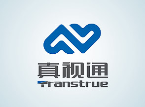 真視通VI系統(tǒng)形象手冊設(shè)計(jì)