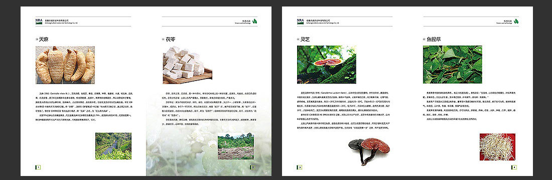 安徽農(nóng)業(yè)畫冊(cè)_農(nóng)潤科技企業(yè)宣傳冊(cè)-4