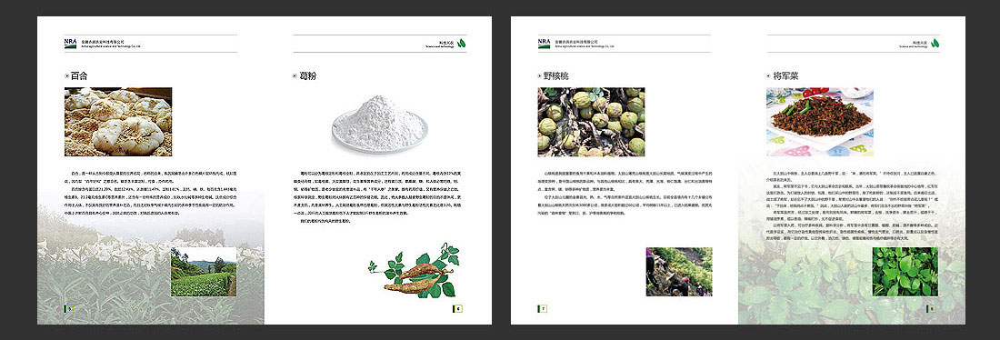 安徽農(nóng)業(yè)畫冊(cè)_農(nóng)潤科技企業(yè)宣傳冊(cè)-5