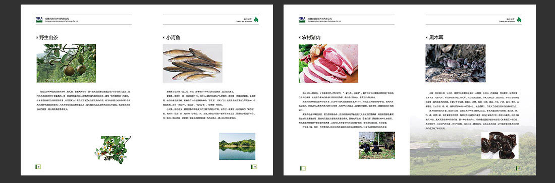 安徽農(nóng)業(yè)畫冊(cè)_農(nóng)潤科技企業(yè)宣傳冊(cè)-6