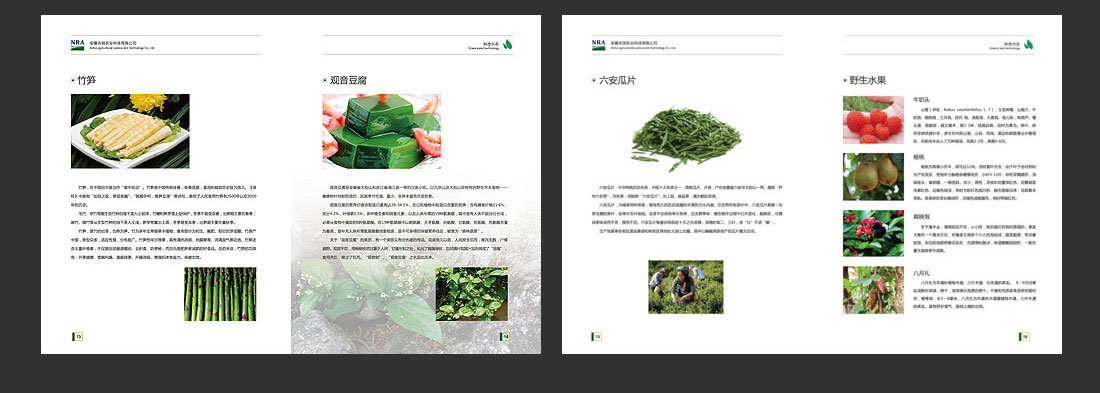 安徽農(nóng)業(yè)畫冊(cè)_農(nóng)潤科技企業(yè)宣傳冊(cè)-7