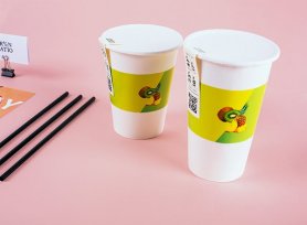 品牌果汁店VI設(shè)計(jì)手冊的核心競爭力